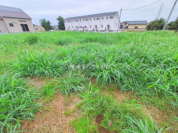 前面道路含む現地