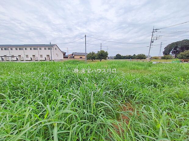 前面道路含む現地