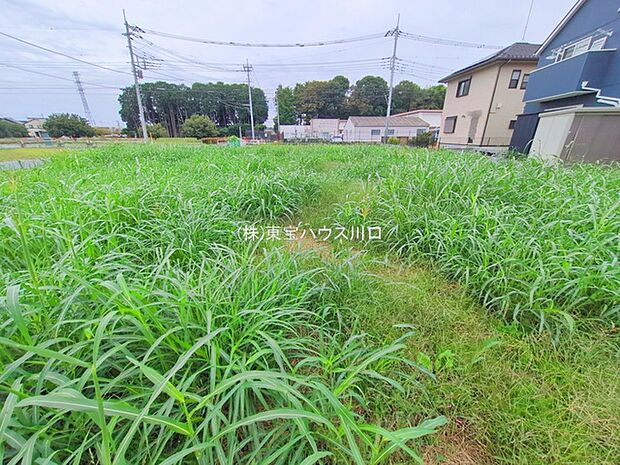 前面道路含む現地