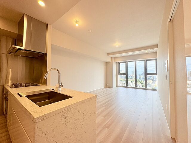 リビング/ダイニング ジオグランデ白金台 15階/-