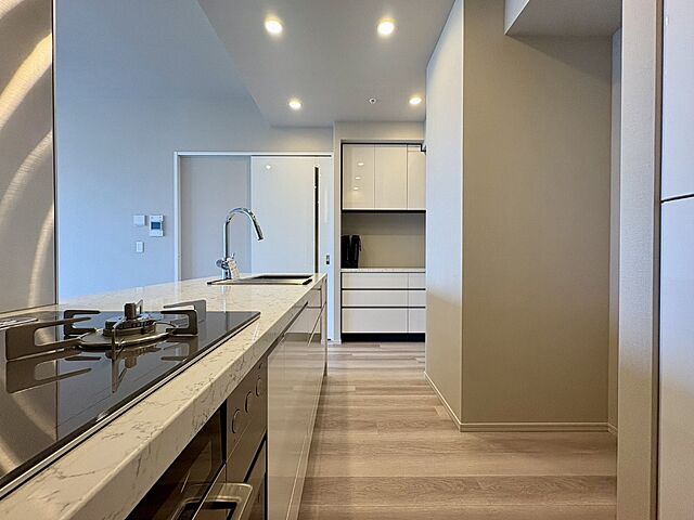 キッチン ジオグランデ白金台 15階/-