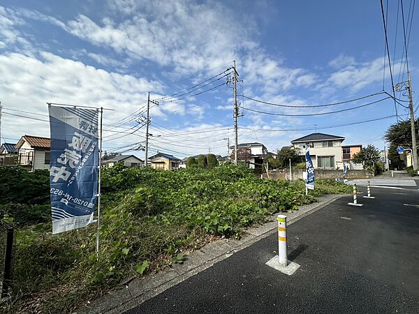2025年11月初旬撮影