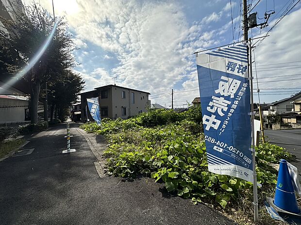 2025年11月初旬撮影