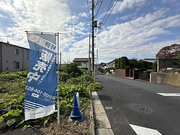 2025年11月初旬撮影