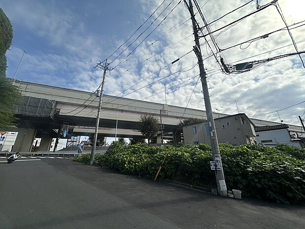 2025年11月初旬撮影