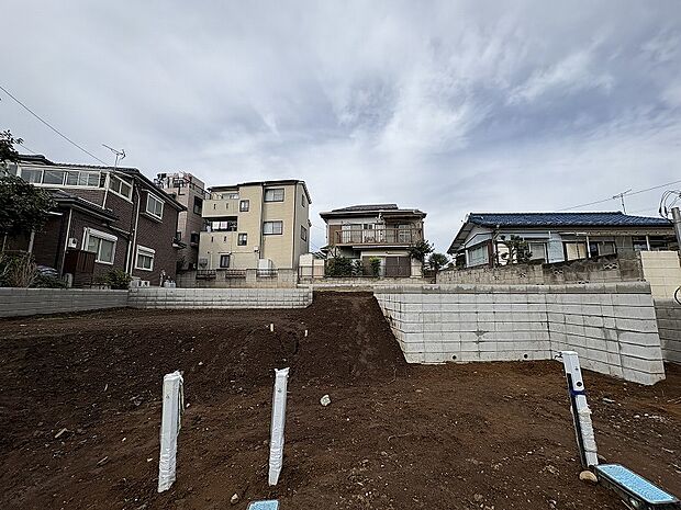 2025年11月初旬撮影