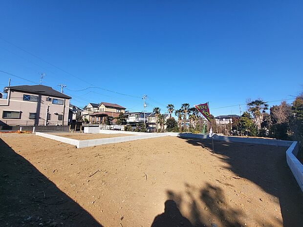 2025年2月21日撮影