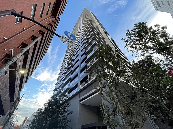 外観：313004499046