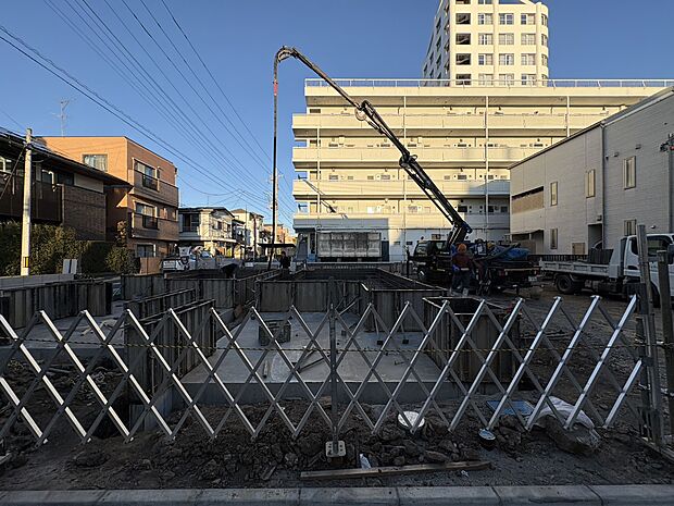 2025年12月上旬撮影