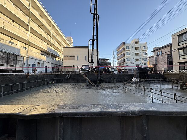 2025年12月上旬撮影