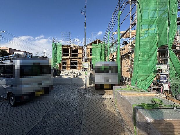 2025年12月中旬撮影