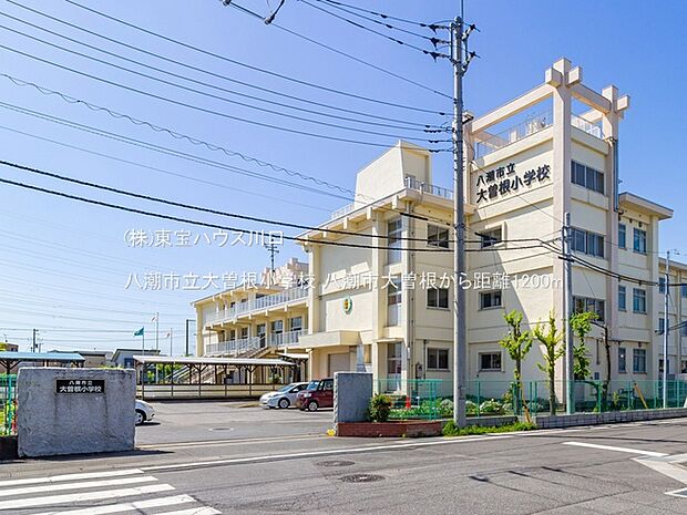 八潮市立大曽根小学校 1200m