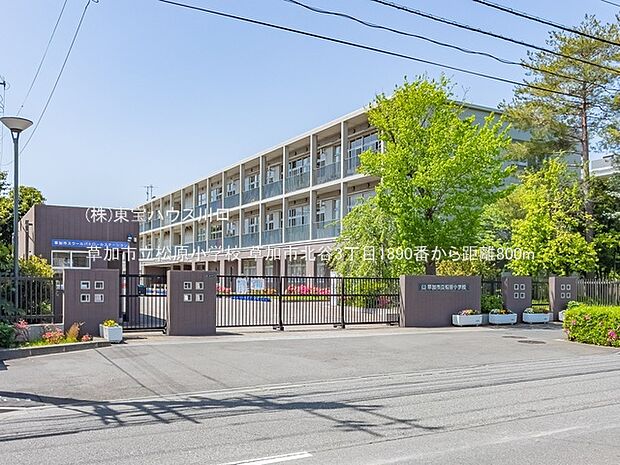 草加市立松原小学校 800m