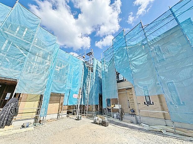 2026年2月上旬撮影