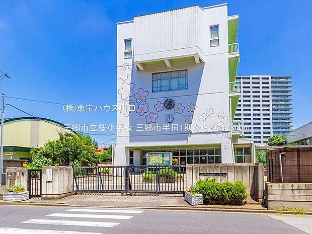 三郷市立桜小学校 1800m