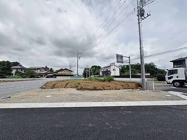 2026年7月初旬撮影