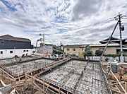 2026年6月撮影