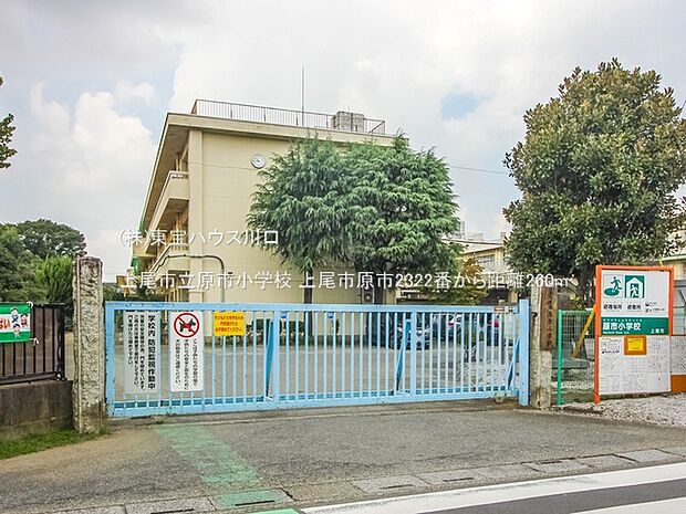 上尾市立原市小学校 260m