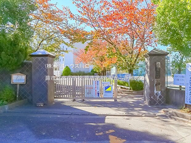 蕨市立北小学校 800m