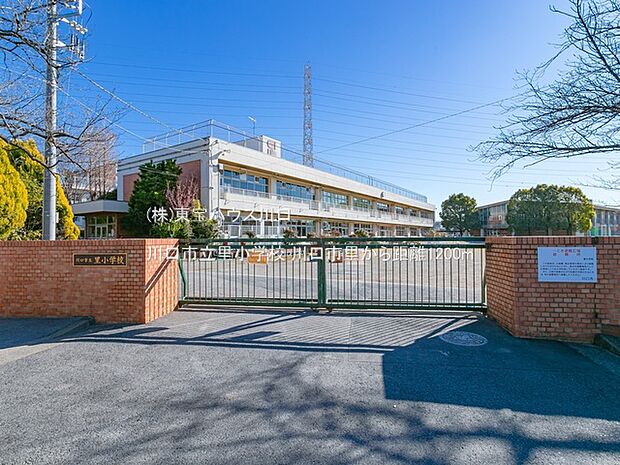 川口市立里小学校 1200m