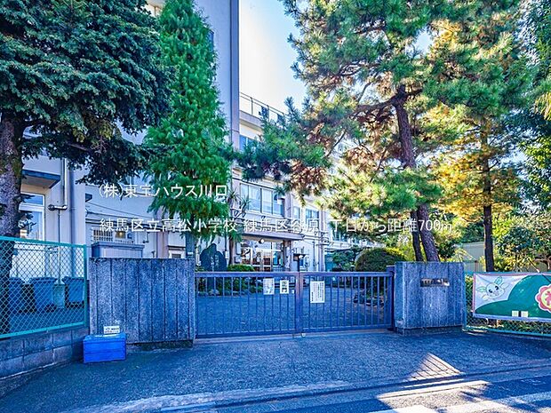 練馬区立高松小学校 700m