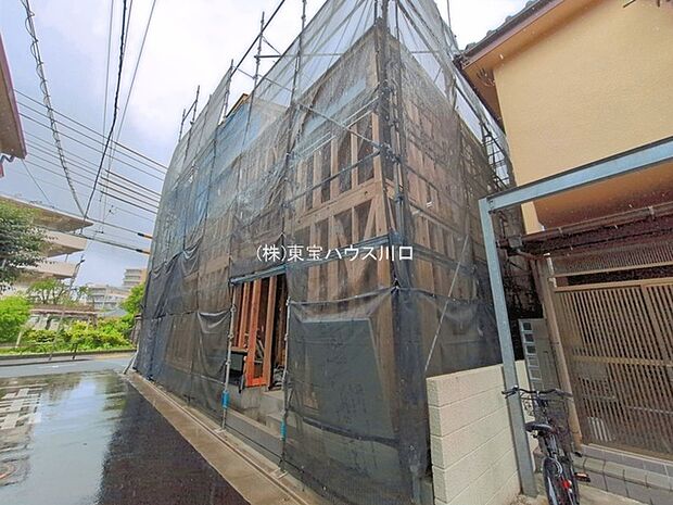 2026年6月撮影