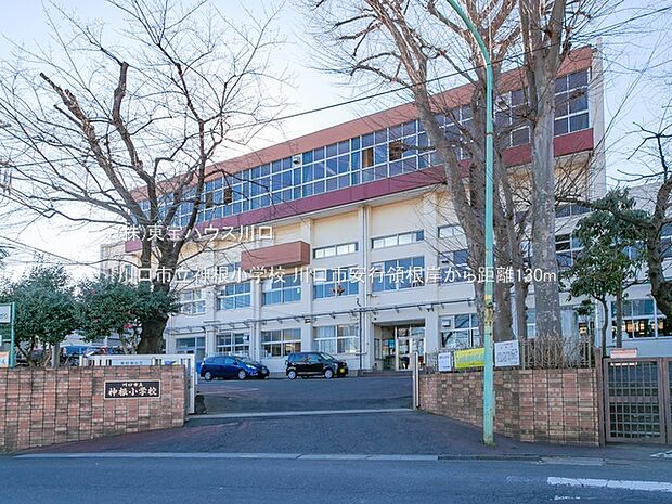 川口市立神根小学校 130m