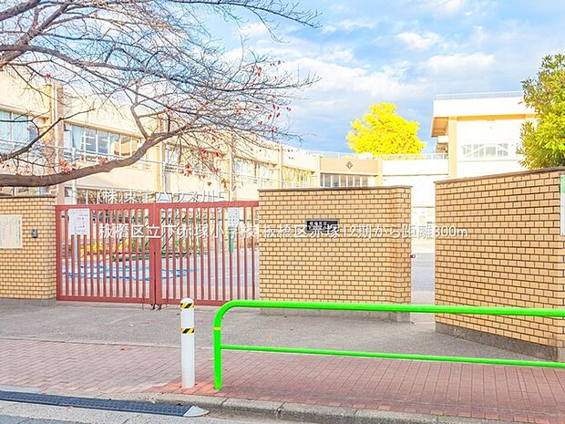 板橋区立下赤塚小学校 800m