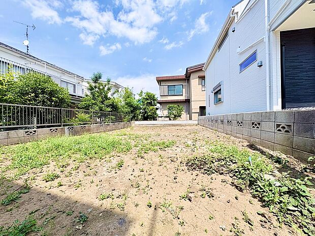 2026年6月初旬撮影
