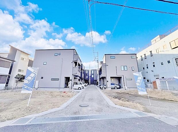 2026年6月下旬撮影