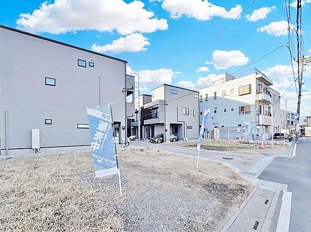 2026年6月下旬撮影