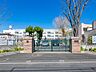 周辺：川口市立芝小学校まで約210ｍ