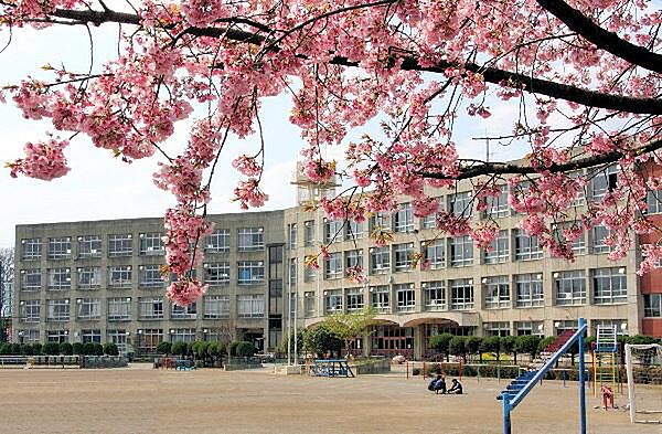 さいたま市立島小学校まで約1076m