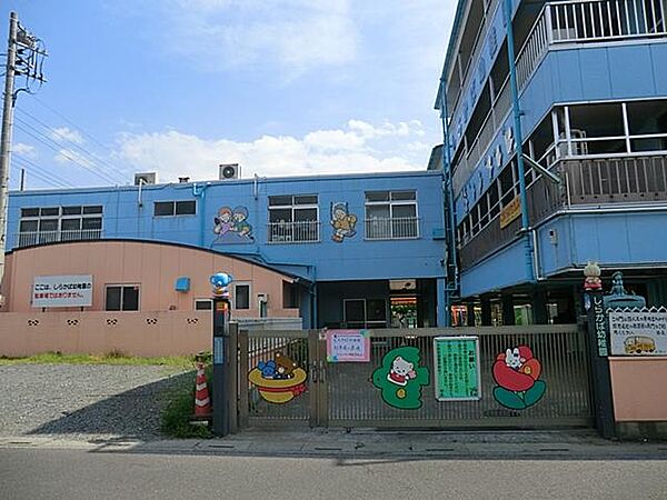 しらかば幼稚園まで約550m