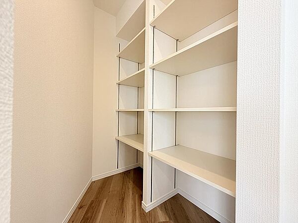 キッチン横には大型のパントリースペースがあるためタップリ収納出来、スッキリお使いいただけます。料理道具や食器が多くても安心です。