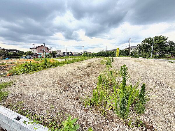 全体(2026年7月上旬撮影)