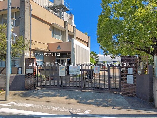 川口市立芝西小学校 310m