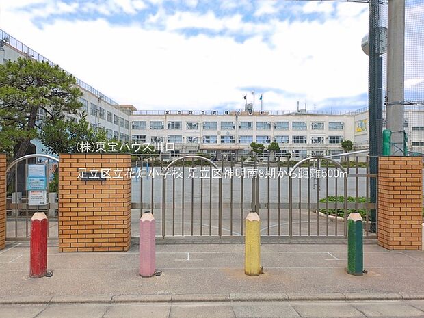 足立区立花畑小学校 500m