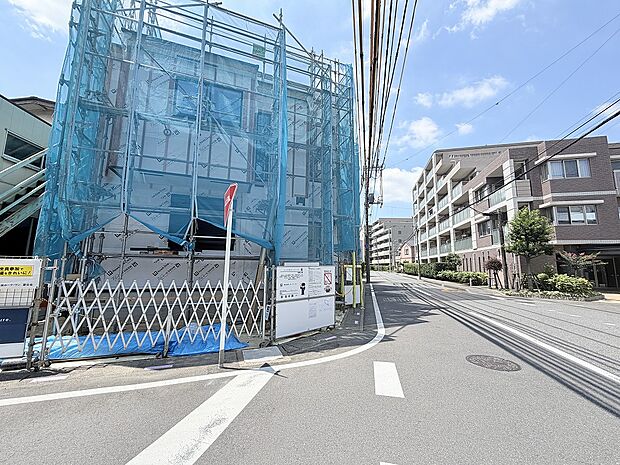 2026年7月中旬撮影