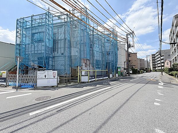 2026年7月中旬撮影