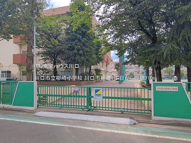 川口市立柳崎小学校 710m