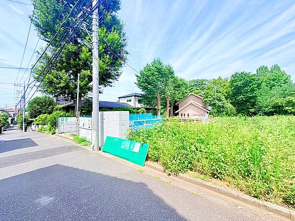 2026年7月下旬撮影