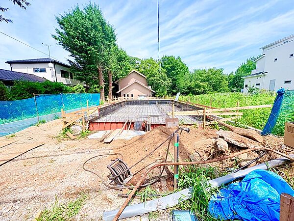 2026年7月下旬撮影
