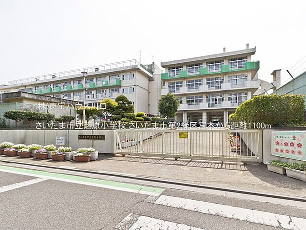さいたま市立芝原小学校 1100m