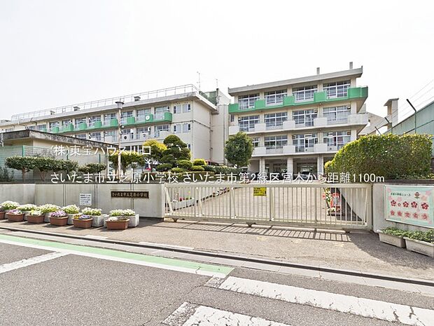 さいたま市立芝原小学校 1100m