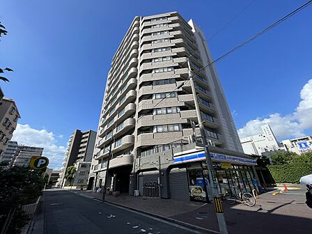 令和8年7月にリフォームが完了し、新しく生まれ変わりました。