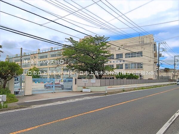 川口市立上青木小学校 240m