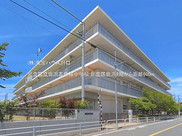 足立区立鹿浜五色桜小学校 600m