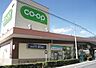 周辺：コープ武蔵浦和店まで約800m