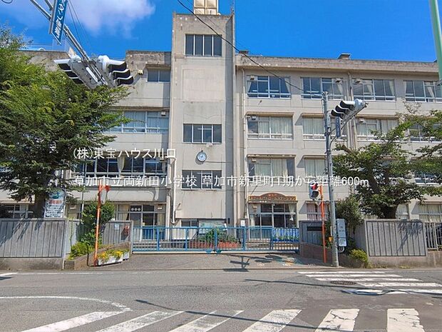 草加市立両新田小学校 600m
